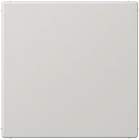 Заглушка без рамки Jung LS990 серый картинка